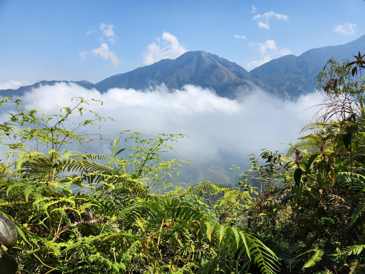 7-Day Mountain Biking: Hoang Su Phi to Sapa Expedition